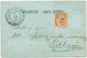 1901 Novi Vinodolski, Novi, Novoga; Hotel Lisanj i Slavulj, Kupaliste, Kula Frankopanska / hotels, s...