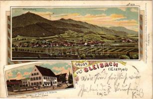 1905 Bleibach (Gutach im Breisgau), Hornleberg, Gasthaus zur Sonne v. H. Wehrle / general view, inn. Art Nouveau, floral, litho (fl)