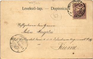 1900 Károlyváros, Karlovac; Pogled na Zrinjski trg / Zrínyi tér, David Kramer és Jos. Purebl üzlete ...