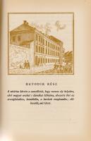 Gvadányi József:
Egy falusi nótárius budai utazása.
(Budapest), 1957. Magyar Helikon (Révai-ny.) 2...