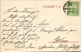 1908 Budapest I. Bleriot repülőgépe a Királyi vár felett