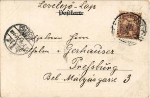 1901 Zur Erinnerung an die Kaisermanöver. Fec. Ch. Scolik / Cs. és kir. hadgyakorlatok emlékére, kat...