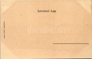 Nagykároly, Carei; kastély. Csókás László kiadása / castle