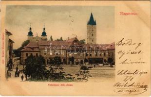 1900 Nagybánya, Baia Mare; Fő tér déli oldala, Pusztay, Wienerberger és Glavitzky, Blau és Klein és Hanzulovics K. üzlete, gyógyszertár. Molnár Mihály kiadása / square, shops, pharmacy