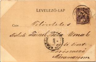 1900 Nagybánya, Baia Mare; Fő tér déli oldala, Pusztay, Wienerberger és Glavitzky, Blau és Klein és ...