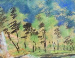 Sztelek Norbert (1884-1956): Nagybánya környéki táj. Pasztell, karton, jelzett, üvegezett, keretben,...