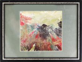 Nyáry Éva (1946-): Óz a csodák csodája. Olaj, karton, 21x20 cm Üvegezett keretben Hátoldalán autográ...