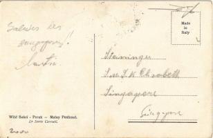 Perak, Malay Peninsula, Wild Sakei