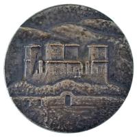 Varga Miklós (1928- ) DN "Miskolcért / Diósgyőri vár" ezüstözött brönz emlékérem (70mm) T:...