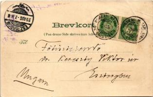 1899 (Vorläufer) Oslo, Christiania, Kristiania; Nordstrand Bad, Grevsens Sanatorium. Mitter & Ro...