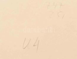 Az osztrák-magyar haditengerészet S.M. U-IV tengeralattjárója a Kotori-öbölben (Bocche di Cattaro). ...