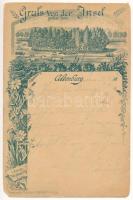 1892 (Vorläufer) Altenburg, Gruss von der Insel, grosser Teich. Hauenstein u. Nestler Art Nouveau, floral (EB)