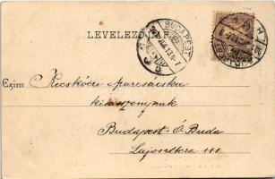 1901 Budapest V. Belvárosi tiszti kaszinó, kávéház. Divald Károly 432. sz. (EK)