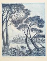 Varga Mátyás (1910-2002): Romantikus táj. Rézkarc, papír, jelzett, számozott (58/100). 30×25 cm. Üvegezett fakeretben.