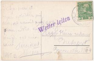 1916 Ivano-Frankivsk, Stanislawów, Stanislau; Pomnik Miczkiewicza / Miczkiewicz Monument / monument,...