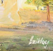 Sziklay Juhos Sándor (?-): Dorozsmai szélmalom. Olaj, farost, jelzett. Dekoratív fakeretben. 26×20 c...