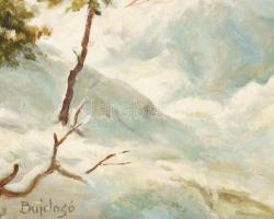 Bujdosó Dénes (1932-): Téli vadászat. Olaj, farost, jelzett. Dekoratív fakeretben. 30×40 cm