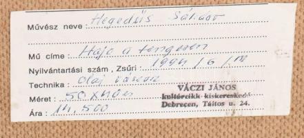 Hegedűs Sándor (-): Hajó a tengeren. Olaj, vászon, faroston, jelzett. Dekoratív fakeretben. 38,5×48,...