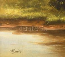 Hegedűs Sándor (-): Nyári táj (hajó). Olaj, vászon, faroston, jelzett. Dekoratív fakeretben. 40×50 c...