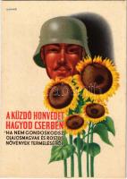 A küzdő honvédet hagyod cserben, ha nem gondoskodsz olajosmagvak és rostos növények termeléséről! Második világháborús magyar katonai propaganda / WWII Hungarian military and agricultural propaganda card s: D. Szabó (EK)