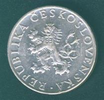 Csehszlovákia 1955. 10K Ag "10. függetlenségi évforduló" T:2- ph