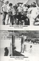 cca 1971 ,,Áldd meg az állatokat és a gyermekeket" című amerikai film jelenetei és szereplői, 2...