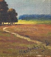 Mesterházy Dénes (1900-1949 körül): Táj. Olaj, vászon, kartonon, jelzett. Fakeretben, 23,5×31 cm