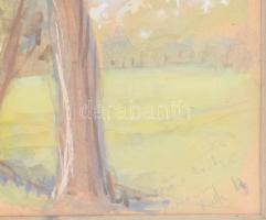 Olvashatatlan jelzéssel: Fasor. Akvarell, papír, hátoldalán 186/978 sz. bírálati címkével, üvegezett...