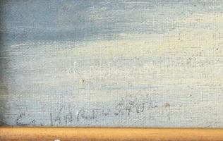 Sz. Kardos Pál, XX. sz. első fele: Hegyvidéki táj. Olaj, karton, jelzett. Dekoratív, sérült fakeretb...