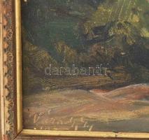 Várady Gyula (1866-1929): Ahol csend van (Selmecbánya). Olaj, karton. Jelezve balra lent. 34×42 cm. ...