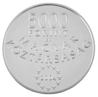 2004. 5000Ft Ag "Magyarország az Európai Unió tagja" tanúsítvánnyal, dísztokban T:PP 
Ada...
