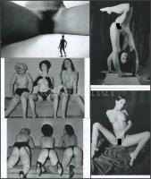 Eltérő időben készült, szolidan erotikus felvételek, 5 db modern nagyítás, jelzés nélkül, 10x15 cm