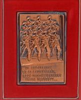 Kiss Nagy András (1930-1997) 1977. "De elvtársaim! Ez az a munkásság, mely osztályharcban vasba öltözött... / Emlékül a Munkásőrség alapító tagjának a Munkásőrség országos parancsnokától 1977. II." vörösréz emlékplakett eredeti,  sérült tokban (104,5x72mm) T:AU