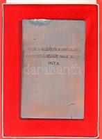 Kiss Nagy András (1930-1997) 1977. "De elvtársaim! Ez az a munkásság, mely osztályharcban vasba...