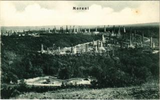 Moreni, oil plant, oil well, oil fields, drilling tower (fl)