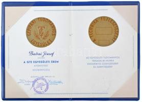 1981. "Gépipari Tudományos Egyesület / A technika fejlesztéséért" bronz emlékérem gravíroz...