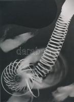 cca 1922 Man Ray (1890-1976) korábban Emmanuel Radnitzky, amerikai dadaista és szürrealista művész fotogramja, Gálvölgyi Róbert, a néhai Fotószemle (1938-1943) szerkesztőjének hagyatékából 1 db modern nagyítás, jelzés nélkül, 21x15 cm