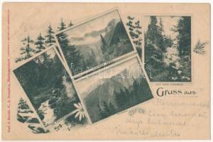 1901 Nagyszeben, Hermannstadt, Sibiu; Am Schantabach, Kleiner Negoi, Surul, Auf dem Oncsest. Verl. d. Buchh. G. A. Seraphin. Lichtdruck v. Jos. Drotleff Art Nouveau, floral (r)