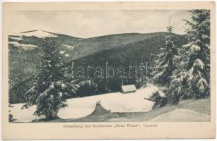 Szebenjuharos, Hohe Rinne, Paltinis; Umgebung des Kurhauses &quot;Hohe Rinne&quot;, Gausora. Jos. Drotleff