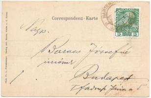 Weinzierl am Walde, Burg Hartenstein. Phot. Fr. v. Prandstetter, Joh. Saska Art Nouveau litho (fl)