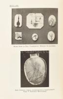 Dudichné Vendl Mária - Koch Sándor: A drágakövek, különös tekintettel a mesterséges drágakövekre. Bp...