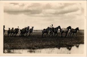 Hortobágy, lovak terelése, magyar folklór. Magyar Rotophot Társaság 534