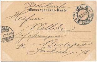 1900 Plzen, Pilsen; Erste Pilsner Malzfabrik / Malt factory, brewery, tram. Art Nouveau, floral (EK)