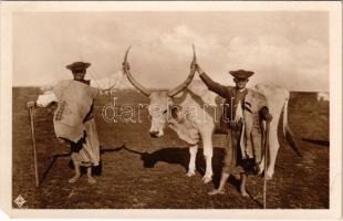 Hortobágy, Élet a Hortobágyon: A gulya dísze, szürkemarha, magyar folklór. Magyar Rotophot Társaság 11 (EM)