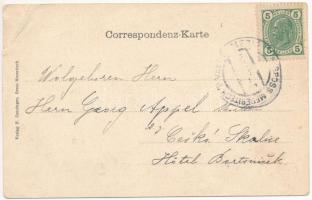 Velké Mezirící, Gross Meseritsch; F. Zenzinger Art Nouveau, floral litho (EB)