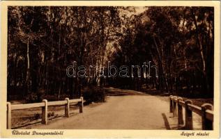 1936 Dunaújváros, Dunapentele, Sztálinváros; szigeti részlet