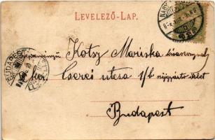 1905 Rumänischer Hirte, Rumänisches Ehepaar. Siebenbürger Volkstrachten No. 55. Verlag Karl Graef (H...