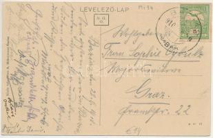 1910 Báziás, Telep részlet, Szerb ortodox kolostor. A. Mühsammer kiadása / general view with Serbian...