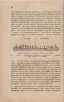 Csonti Szabó István, vitéz:
A konyhakerti termények okszerű termesztése. 183 rajz és képpel.
Budap...