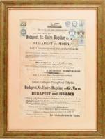 1873 Az Első cs. kir. szab. Duna-gőzhajózási Társaság helyi szemályszállító menetek megújítását kihirdető rendelete. Ráragasztott okmánybélyegekkel Üvegezett keretben / Order of the DDSG for renewing schedules 28x40 cm